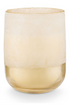 Coconut Milk Mango Large Mojave Glass Candle